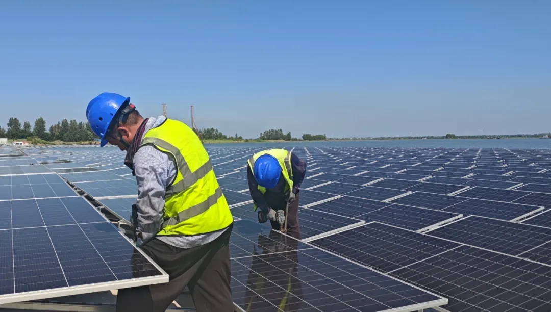 1759193799904897.jpg 1.jpg