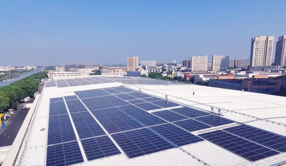 1759194158149251.jpg 1.jpg