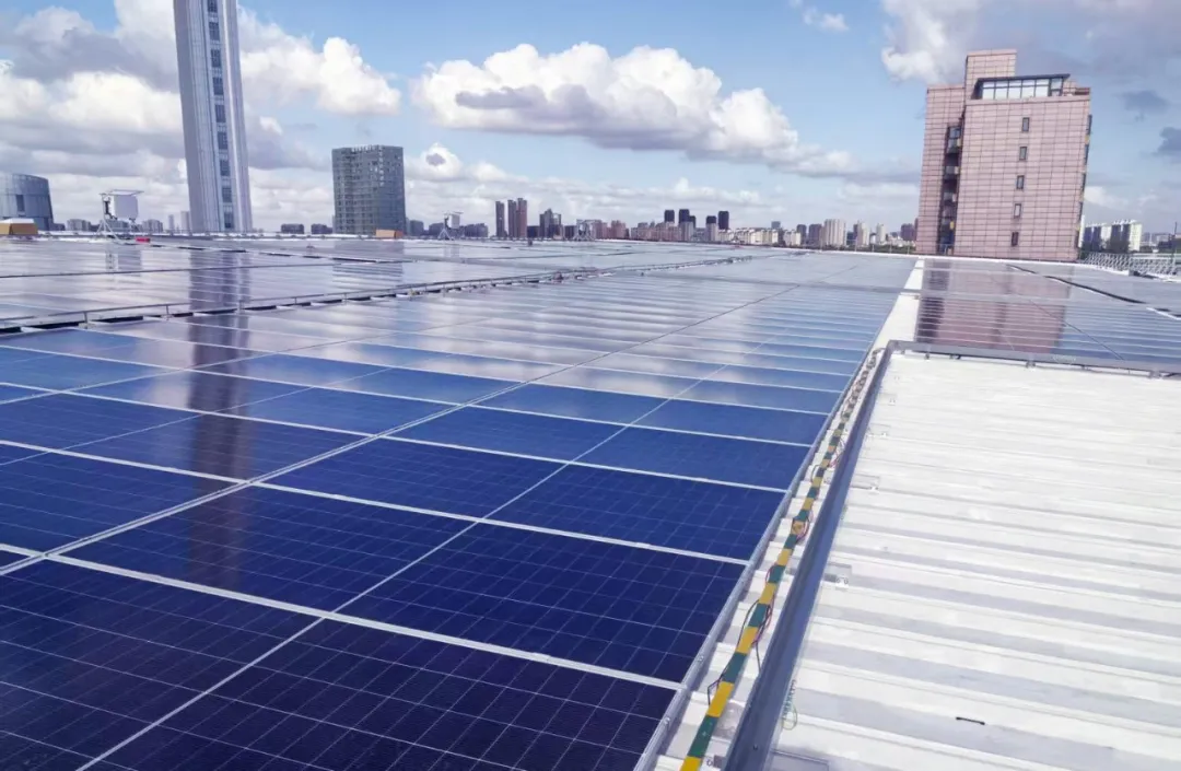 1759194162220962.jpg 2.jpg