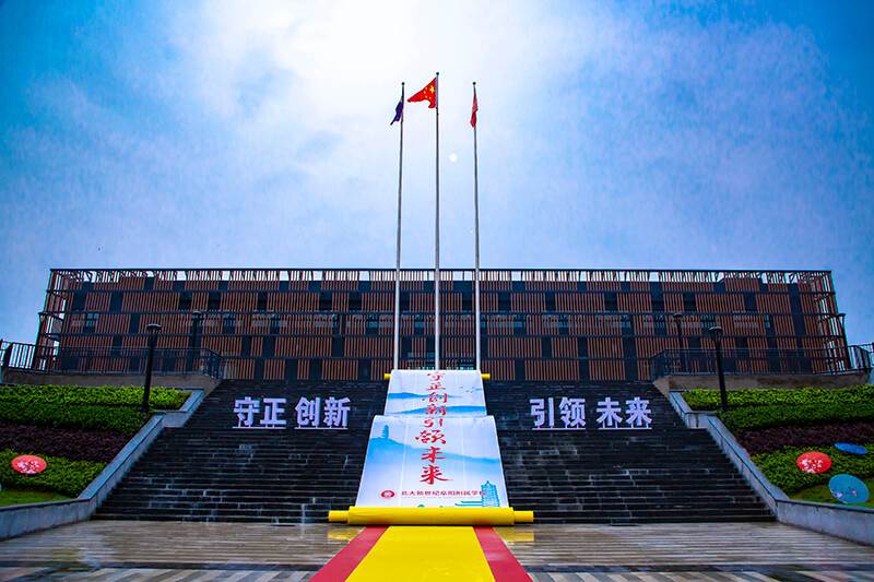 北大新世纪阜阳附属学校校园开放日活动媒体汇编